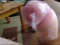 Squrting Spunk A (10).jpg