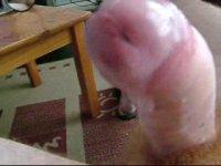 Squrting Spunk A (15).jpg