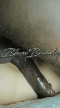 ShorttermProductiveWaterboatman-mobile(1).gif