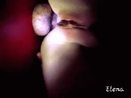 20221102_065031.gif