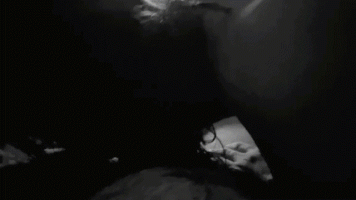 C0D5751A-F259-4456-B8D6-93920C467535.gif