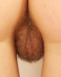 images (15).jpeg