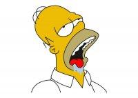 homer s   .jpg
