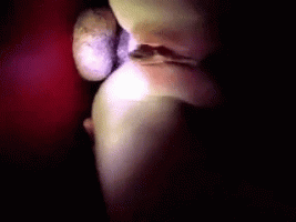 nT_0piy8f22zkdxd53jrgji096p_3.gif