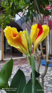 IMG_20220808_192626.jpg