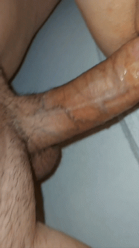 the slut opens her legs and gets banged by the hard cock of the bull!_1.gif