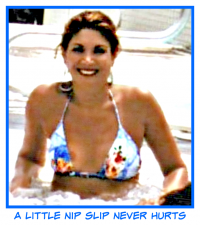in-the-hot-tub_37171555814_o.png