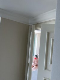 img.jpg