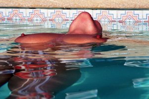 IMG_7304.jpeg