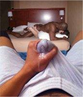 tumblr_o0e77tRTDw1u6vdfmo1_1280.jpg