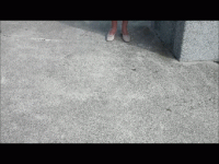upskirt.gif