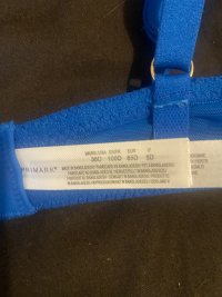 IMG_2384.jpeg