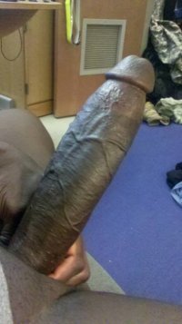 images (22).jpeg