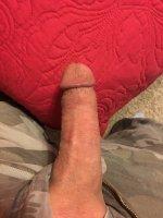 IMG_0284.JPG