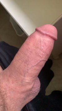 IMG_4643.jpeg