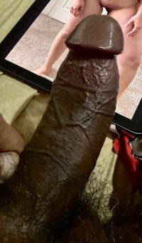 IMG_4248.jpeg