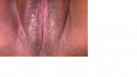 Untitled.png