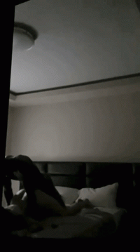 RDT_20231118_180816(1).gif