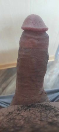 user375999_dd4bf8ae6fcc.jpg