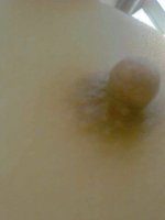 7AA4A588-516F-422F-9DA2-B6E0AFB32181.jpeg