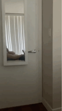 791EE8B9-84A1-4B9A-A07C-CB7263CA91FC.gif