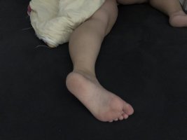 IMG_8658.jpeg