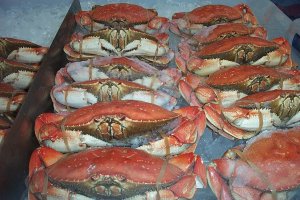 I got crabs.JPG