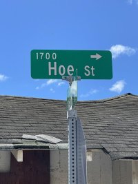 Hoe street.jpeg
