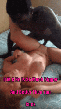 019.gif