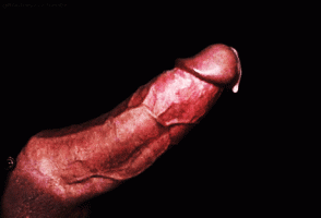 1000043225.gif 1000043225.gif