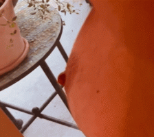 IMG_5567.gif