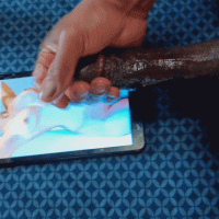 20250226_170540_1.gif