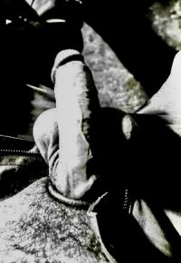 IMG_6102.jpeg