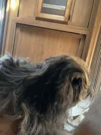 videotogif.gif