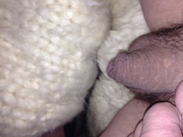 IMG_4364.jpeg