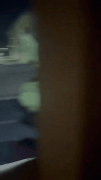RDT_20250315_142010(1).gif
