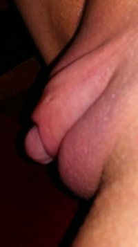 IMG_0802.jpeg