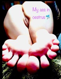 IMG_0031.jpeg