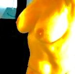 IMG_1975.jpeg