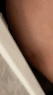 AED96A28-537B-4448-A295-6AAFC86E5E27.gif
