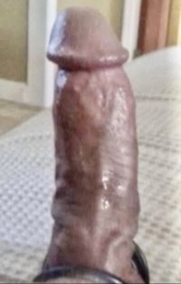 IMG_2600.jpeg