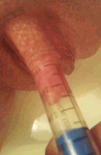 IMG_3703.jpeg
