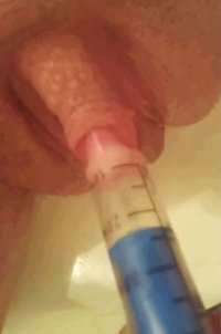 IMG_3701.jpeg