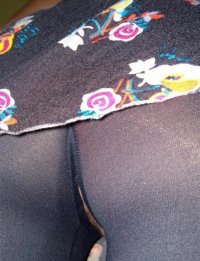 IMG_4009.jpeg