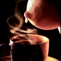 IMG_4052.jpeg