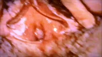 VideoCapture_20250409-213027.jpg