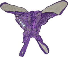 Clipped_image_20250417_215841.png