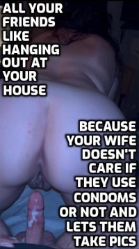 pics.jpg