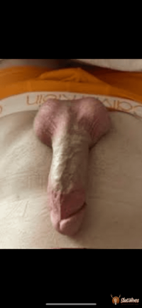 IMG_6338.png