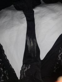 IMG_1324.jpeg
